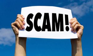 Online Scams To Avoid when Using Shopping Sites